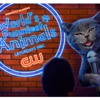 Devouring Doodles, Elated Elephants, and Pampered Pit Bulls are Up Next on WORLD'S…