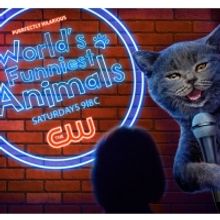 Devouring Doodles, Elated Elephants, and Pampered Pit Bulls are Up Next on WORLD'S FU