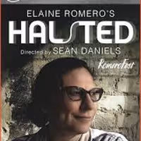 BWW Review: Elaine Romero's HALSTED Is A Bold Stroke Of Illumination ~ Launching…