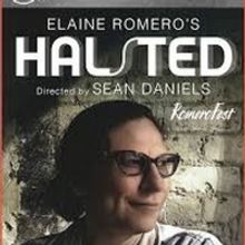 BWW Review: Elaine Romero's HALSTED Is A Bold Stroke Of Illumination ~ Launching Rome