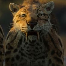 Netflix Greenlights Next Iteration of LIFE ON OUR PLANET Series Franchise