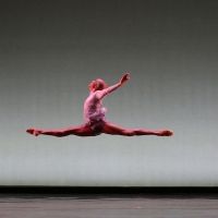 Dallas Black Dance Theatre Will Return to NYC With Two Premieres by NYC Choreogaphers