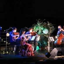 Tesla Quartet Returns to The Morris Museum with A Program That Includes Schubert and 