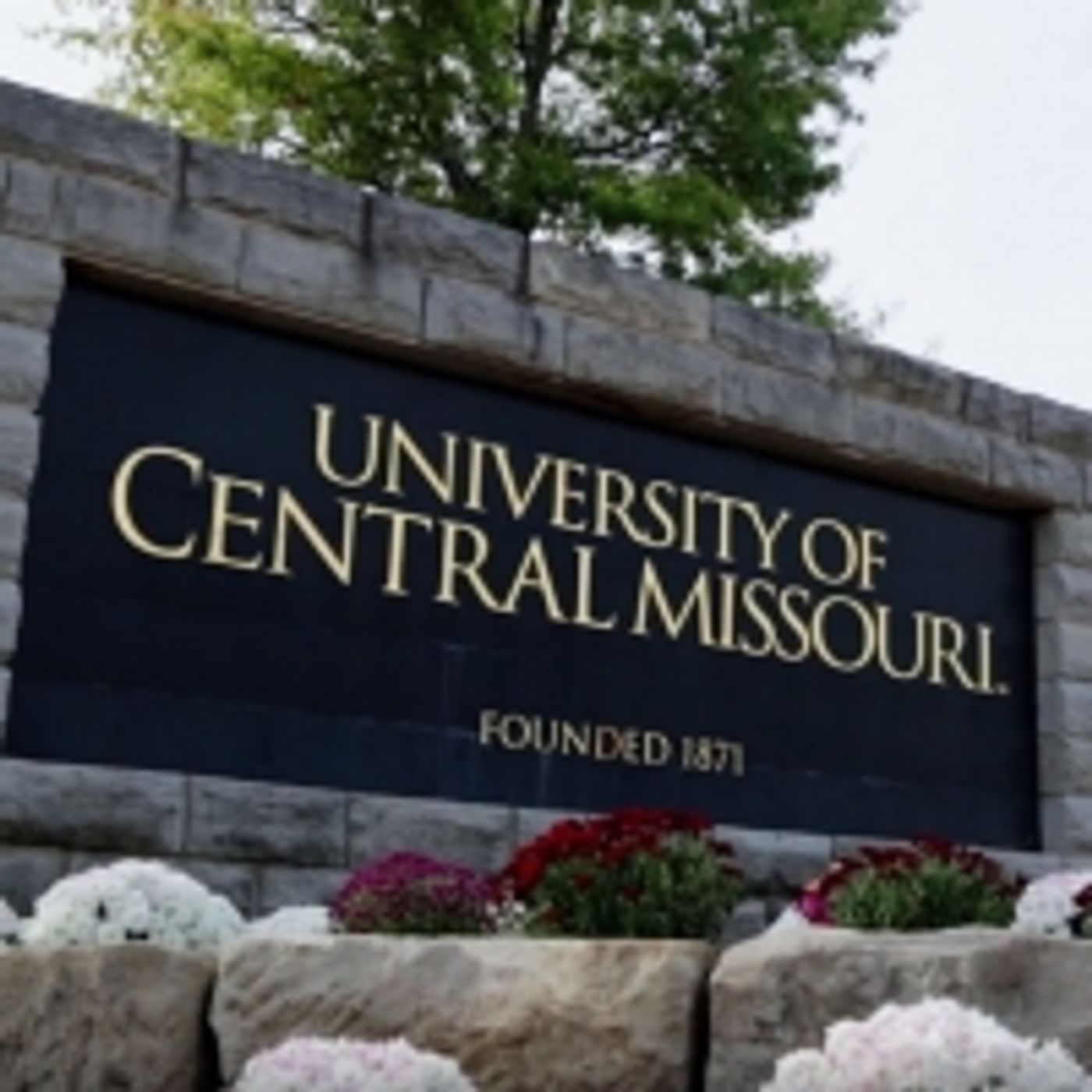 Student Blog: Reflecting on the Strangest School Year Ever