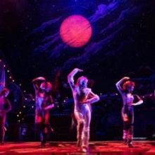 BWW Review: CATS  at Morrison Center