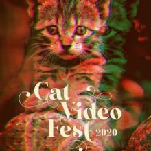 CatVideoFest Launches Virtual Edition to Benefit the Strand Theater