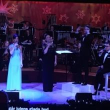 CHRISTMAS CONCERT Streams Free at Konserthuset