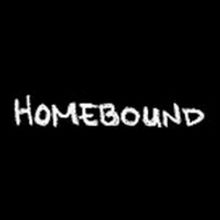 BWW Video: Episode Eight of Round House Theatre's Webseries Homebound