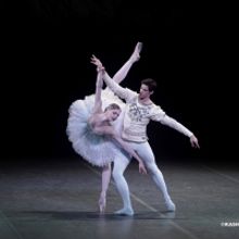 BWW Review: RUSSIAN BALLET ICONS GALA, London Coliseum