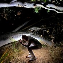 SA Observatory and TheatreArts Partner For Celestial Ballet Beneath The Stars in Resp