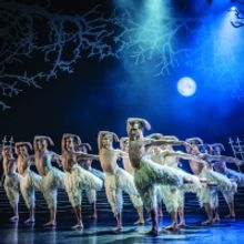 BWW Review: BWW REVIEW:  MATTHEW BOURNE REIMAGINES SWAN LAKE at New York City Center