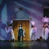 VIDEO: First Look at the Trailer for FOLLIES at San Francisco Playhouse