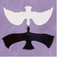Jake Wesley Rogers Shares 'Lavender Forever' (Purple Crush Legendary Remix)