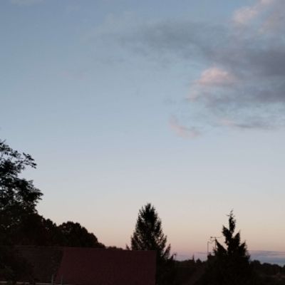 Student Blog: Starting Out Again
