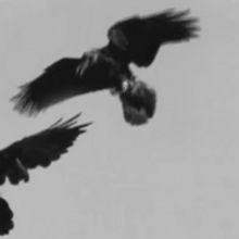 BWW Feature: ONLINE VIRTUAL OPERA TOUR NO. 46 at Home Computer Screens