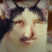 VIDEO: Band of Horses Share Music Video for 'Crutch'