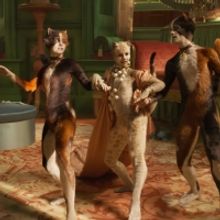 BWW Review: CATS Isn't A Nightmare, But Surely Not A Dream