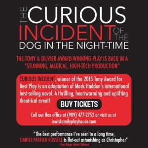 Spotlight: THE CURIOUS INCIDENT OF THE DOG IN THE NIGHT-TIME at Lewis Family…