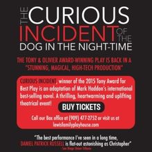 Spotlight: THE CURIOUS INCIDENT OF THE DOG IN THE NIGHT-TIME at Lewis Family Playhous