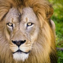 ArtServe Receives $15,000 Arts Alive Grant From PNC Foundation For 'Changing Landscap