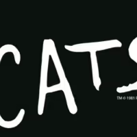 CATS in Boston Tickets Go on Sale September 9