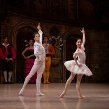 Don Quijote Llega Al Palacio De Bellas Artes Con La Compañía Nacional De Danza