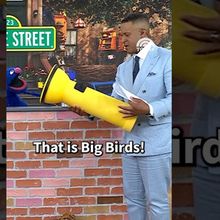 SESAME STREET's Abby and Grover Reveal What's in Their Emergency Go-Bags