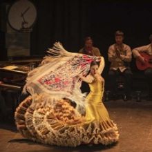 Flamenco Arts Festival Returns With FLAMENCO ON FILM, A Virtual Experience