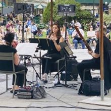 American Symphony Orchestra Woodwind Trio At Morris Museum Moved To Wednesday, June 2