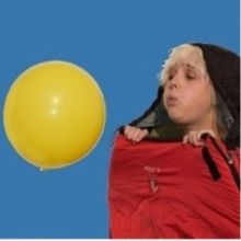 Edinburgh 2022: Review: LUCID, ZOO Playground