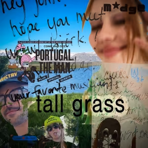 Video: Watch Madge and Portugal. The Man's 'Tall Grass' Music Video