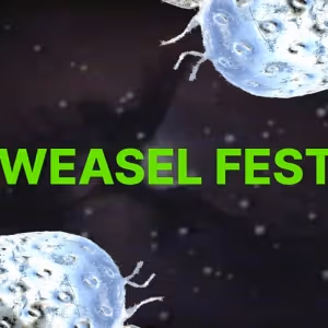Brooklyn College's 'Bring A Weasel and A Pint Of Your Own Blood' Fest Comes To Life…