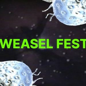 Brooklyn College's 'Bring A Weasel and A Pint Of Your Own Blood' Fest Comes To Life World