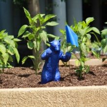 Denver Arts & Venues Announces DenverPublicArt.org Contest