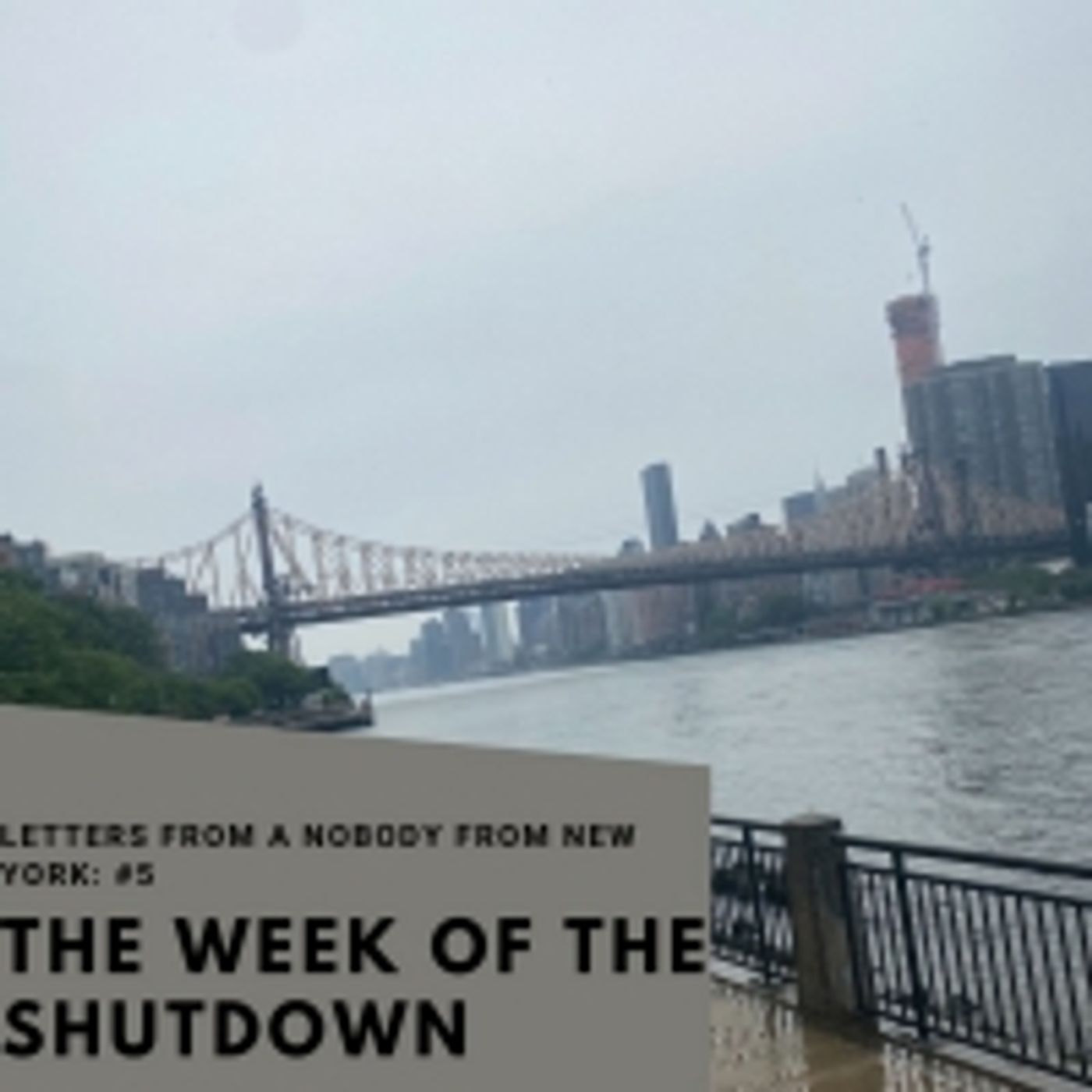 Student Blog: Letters from a Nobody in New York #5: Snapshots of The Week of the Shutdown