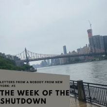 Student Blog: Letters from a Nobody in New York #5: Snapshots of The Week of the Shut