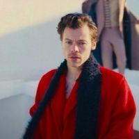 VIDEO: Harry Styles Dresses as GREASE's Danny Zuko For Halloween Concert