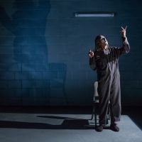 BWW Review: BUFFOON Laughs Through Bared Teeth at Tarragon Theatre
