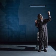 BWW Review: BUFFOON Laughs Through Bared Teeth at Tarragon Theatre