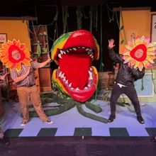 Review: LITTLE SHOP OF HORRORS at CITY THEATRE AUSTIN