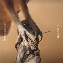 Semperoper Dresden Presents the Premiere Of TURNADOT On 7 October 2023