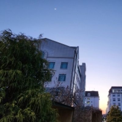 Student Blog: Back to School: University Life is Back to Normal