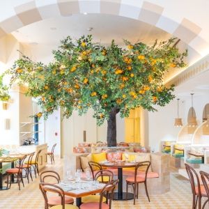 Review: MAMA MEZZE Brings the Finest Eastern Mediterranean Cuisine to NoMad