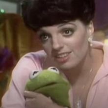 VIDEO: Watch 30 Broadway Stars Make Music with Muppets!