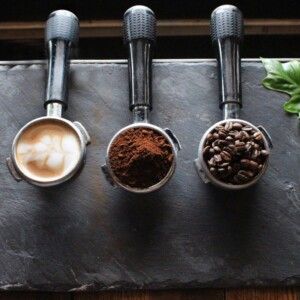 Midland Center for the Arts, Live Oak to Open New Café