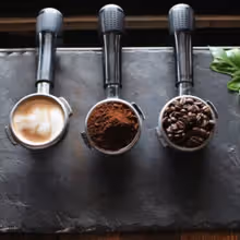 Midland Center for the Arts, Live Oak to Open New Café