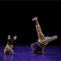 SA's Premier Integrated Arts Platform Will Celebrate People With Disabilities
