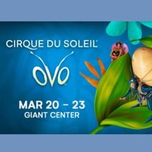 Review: CIRQUE DU SOLEIL-OVO at Giant Center