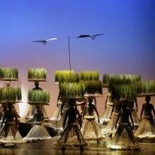 Review: THE LION KING at the Eccles Theater is a Feast for the Senses