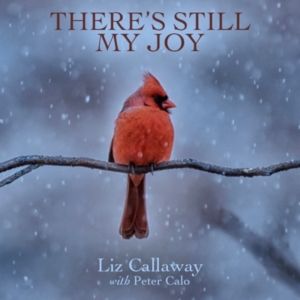 Liz Callaway Releases New Holiday Single- 'There's Still My Joy'